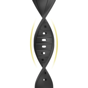 98593dd3-cb89-4dfa-9658-220f9703c192